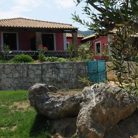 Arpyia Vasilikos (Zakynthos)