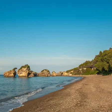 Arpyia *